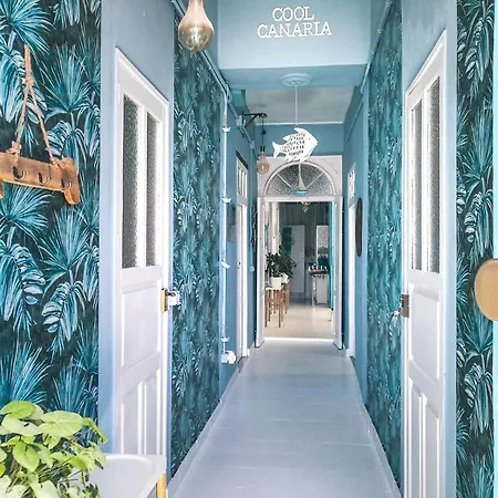 Cool Canaria Holiday home Agaete (Gran Canaria)