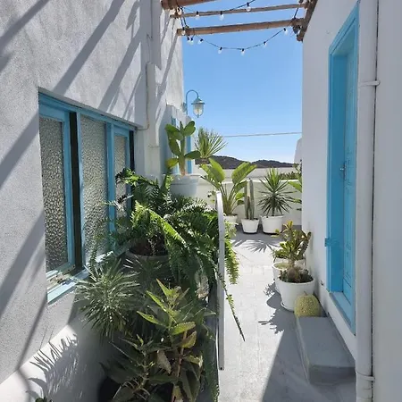Cool Canaria * Agaete (Gran Canaria)